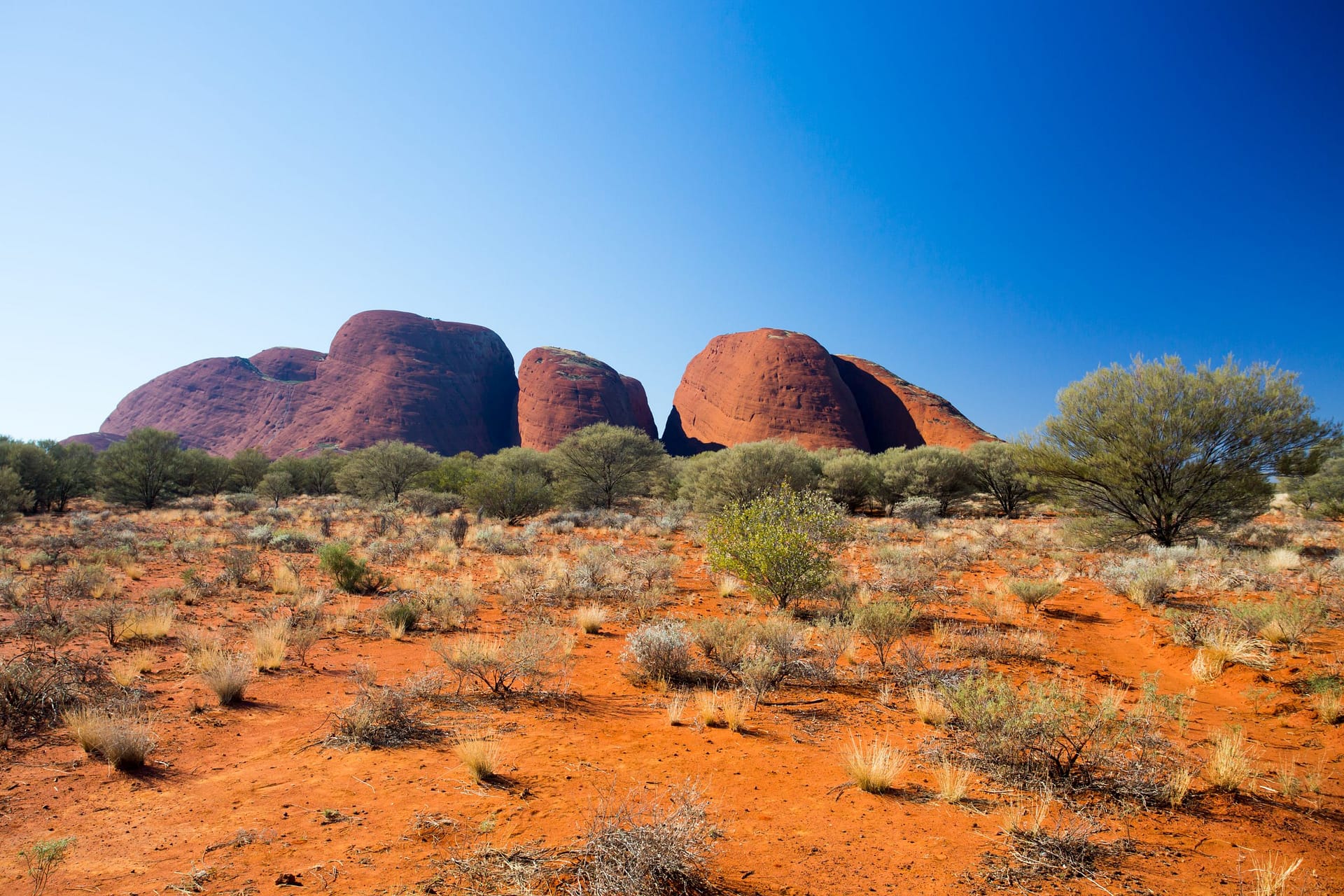 The Olgas near the Valley of the Winds walk in the Northern Territory, Australia